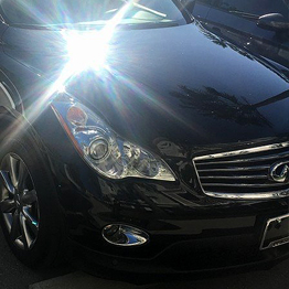 Shiny Car in Tampa, FL